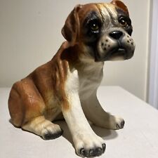 Cute boxer puppy for sale  BIRMINGHAM