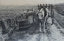 Vendanges bourgogne 1930 d'occasion  Venarey-les-Laumes