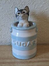 Leonardo cat sugar for sale  TRURO