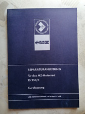 Reparaturbuch 250 1 gebraucht kaufen  Meiningen