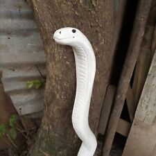 White cobra snake for sale  Desoto
