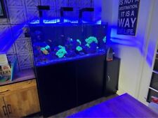Waterbox 110.4 reef for sale  BURNTWOOD