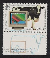 Israel dairy cattle for sale  UK