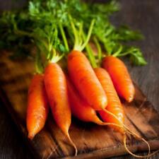 Little fingers carrot for sale  Deltona