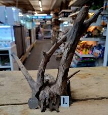 Small corbo root for sale  Shipping to Ireland