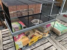 Hamster gerbil mouse for sale  HITCHIN