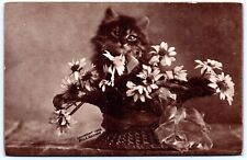 Cartão postal gatinho em uma cesta de flores fofo gatinho série MT Sheahan 1908 B25 comprar usado  Enviando para Brazil