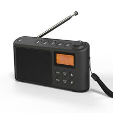 Radio digitale dab usato  Firenze