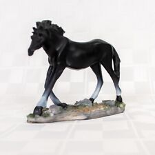 Equestrian black stallion for sale  Elkhart