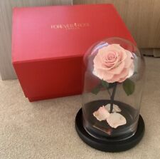 Forever rose for sale  LEICESTER