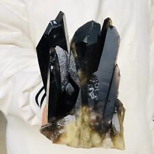 1576 g Natural Negro Humado Citrino Cuarzo Racitro Racizo Mineral Curación G337 segunda mano  Embacar hacia Mexico