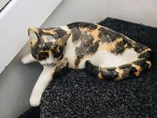 Large winstanley tortoise for sale  WEDNESBURY