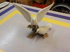 Pair white doves for sale  CHELMSFORD