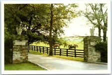 Postcard spendthrift farm for sale  Stevens Point