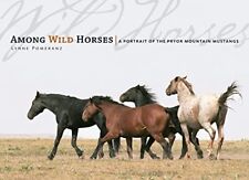 Among wild horses for sale  UK