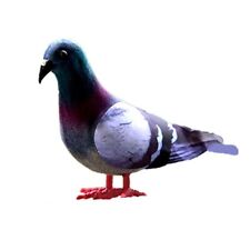 Artificielle pigeon modèle d'occasion  Expédié en France