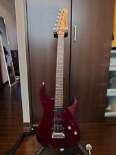 Washburn Mg120, usado segunda mano  Embacar hacia Argentina