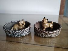 Wade cairn terrier for sale  PERTH