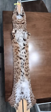 Bobcat fur pelt for sale  Andalusia