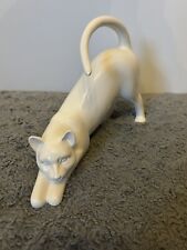 Large white cat for sale  NORWICH