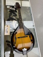 Johnson model mandolin for sale  Murfreesboro