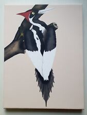 Ivory billed woodpecker usato  Gorizia