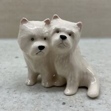 west highland white terrier puppies for sale  CLITHEROE