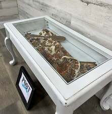 shadow box coffee table for sale  Canby
