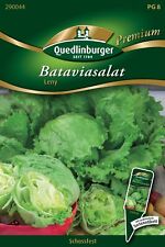 Batavia salat leny gebraucht kaufen  Pulheim
