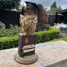 Taxidermy owl wise for sale  LEICESTER