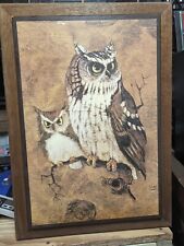 screech owl framed print for sale  Satsuma