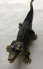 Terra battat alligator for sale  Morgantown