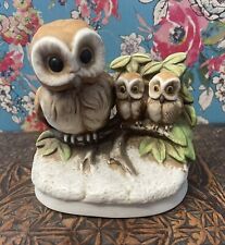 Barn owl family for sale  Shipping to Ireland