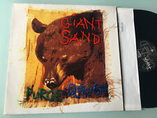 1993 giant sand usato  Perugia
