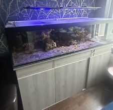6ft aquarium fish for sale  BURGESS HILL