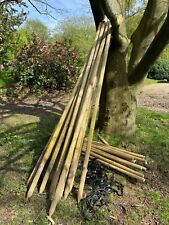 tree stakes for sale  OXTED