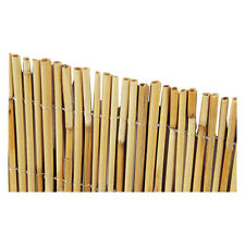 Arella bambu 250 usato  Italia