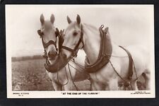 Postcard farm horses for sale  POOLE