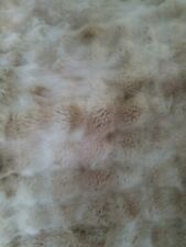 Beautiful thick furred for sale  WIGAN