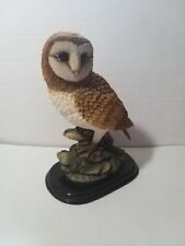 Large barn owl for sale  SELKIRK