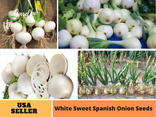 Seeds white sweet for sale  Temple City