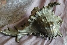 Bronze/Brass Conch Shell Chicoreus Florifer Dilectus Lace Murex Figurine for sale  Shipping to South Africa