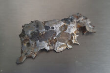 Brahin pallasite meteorite. d'occasion  Expédié en Belgium