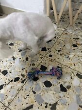 Doggy rope toy for sale  Grand Rapids