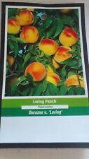 Loring peach tree for sale  Ben Wheeler