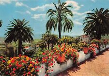 Cote azur vegetation d'occasion  France