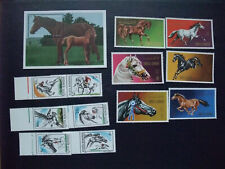 Briefmarken pferde . gebraucht kaufen  Bohmte