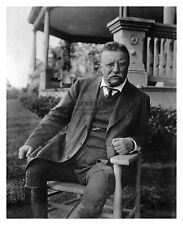 President theodore roosevelt for sale  Andover