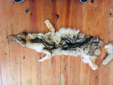 Coyote pelt fox for sale  Jacksboro