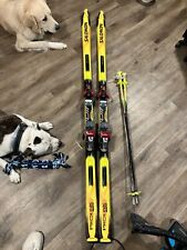Soloman monocoque skis for sale  Lashmeet